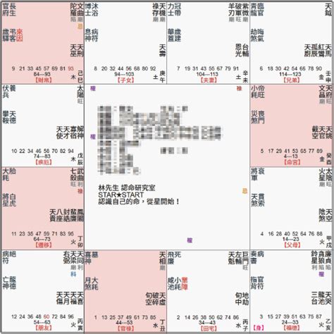 廉貞天府坐命|紫微命盤解析——廉貞、天府在辰、戌宮